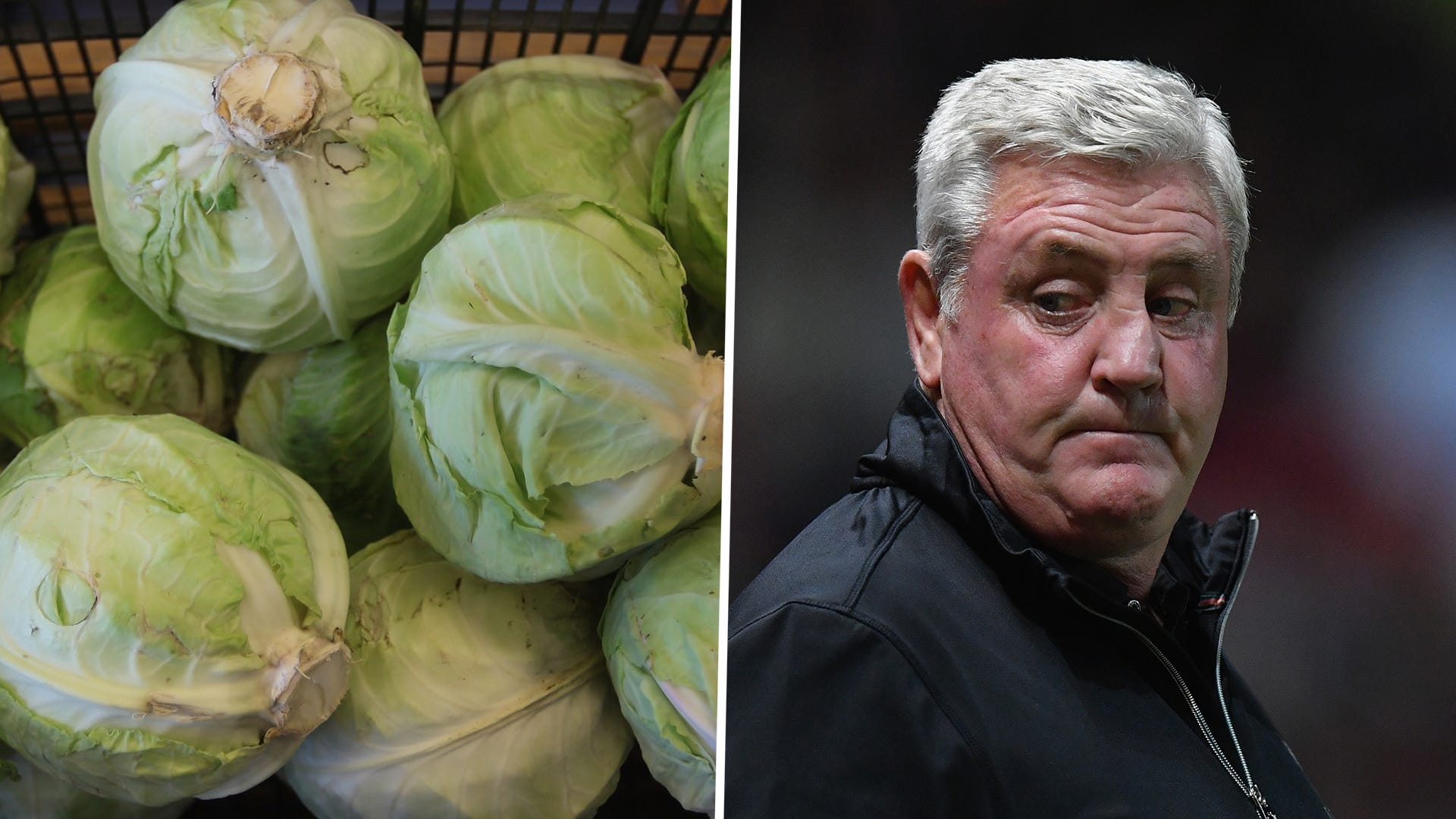 Aston Villa boss Steve Bruce pelted with cabbage as sack looms | Goal.com