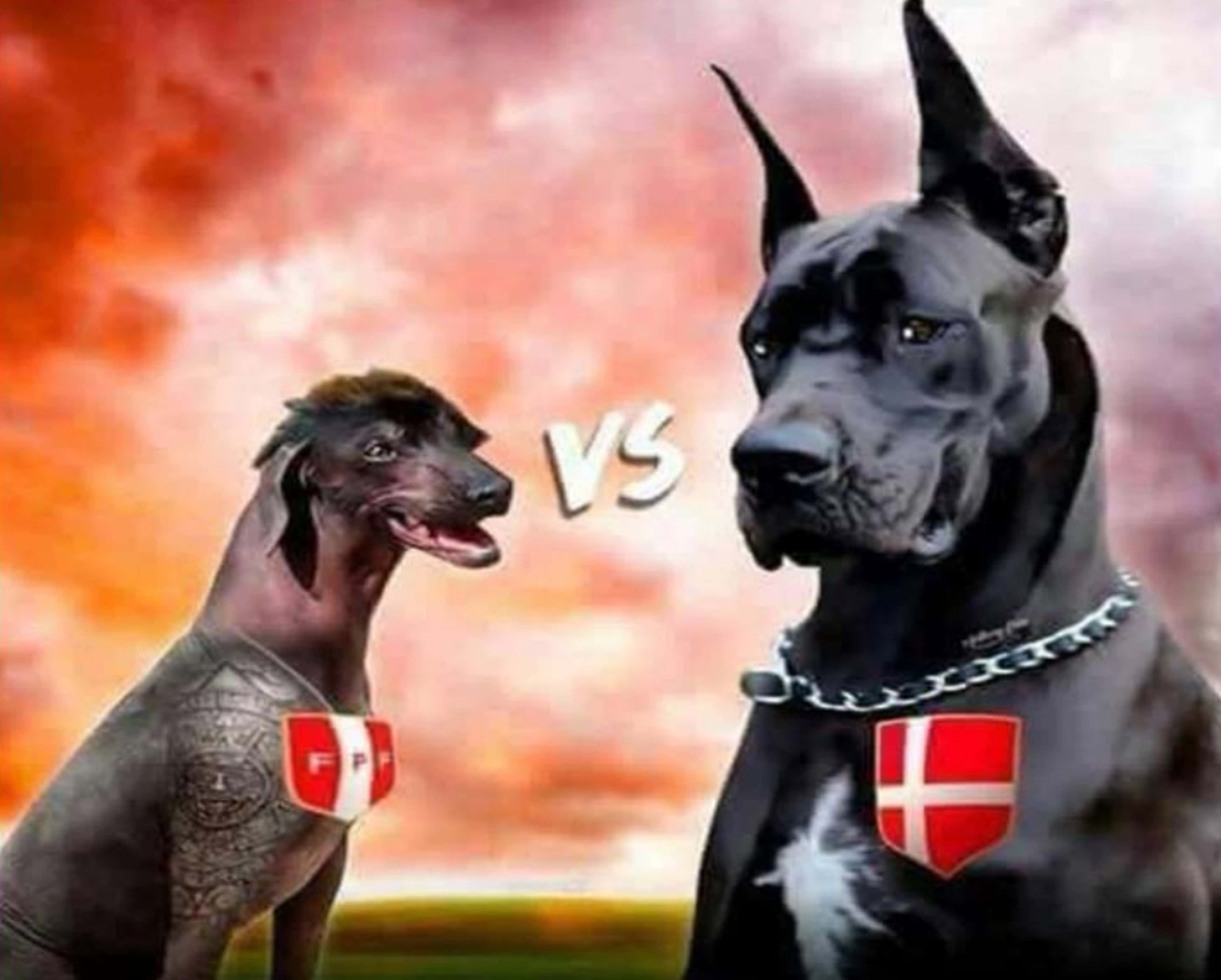 Memes Perú vs Dinamarca