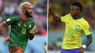 Cameroon Brazil World Cup