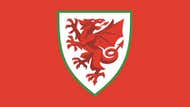 FA Wales Badge