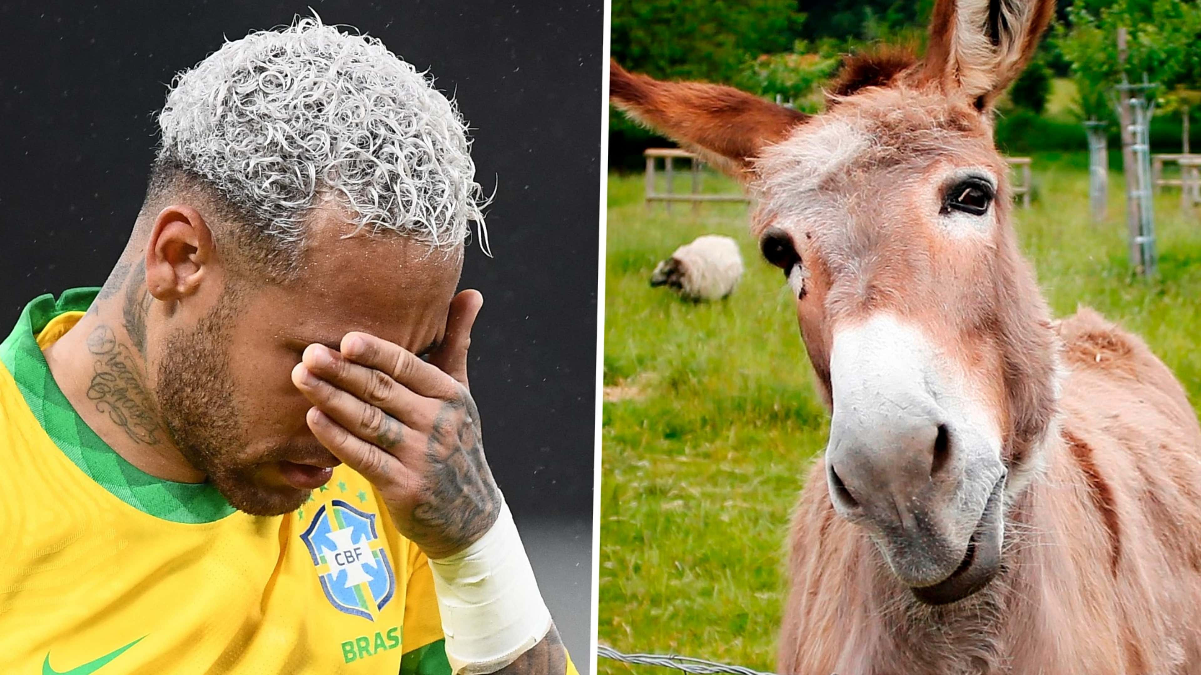 Neymar donkey
