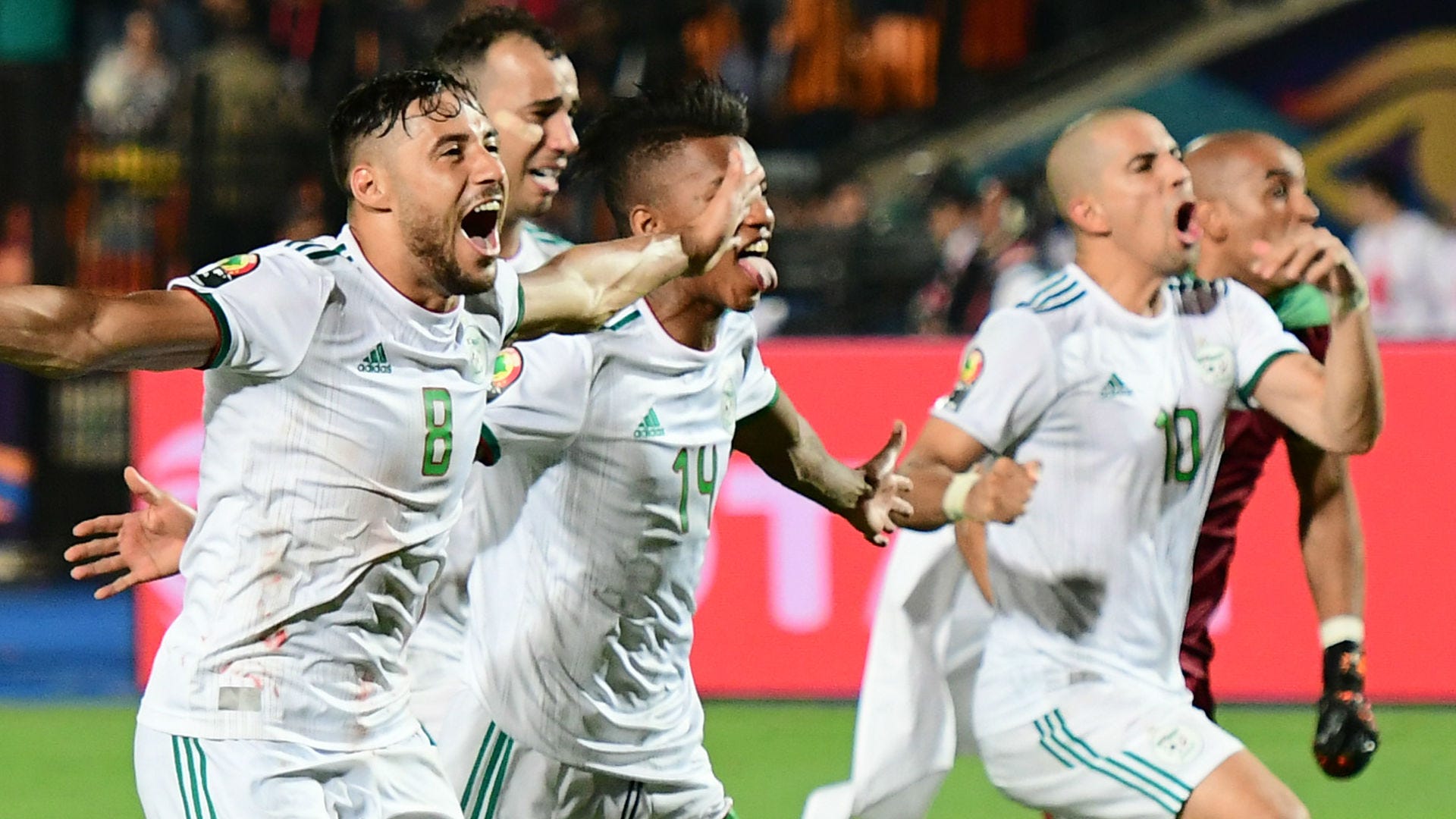 Algeria AFCON