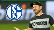 GFX Steffen Baumgart Schalke