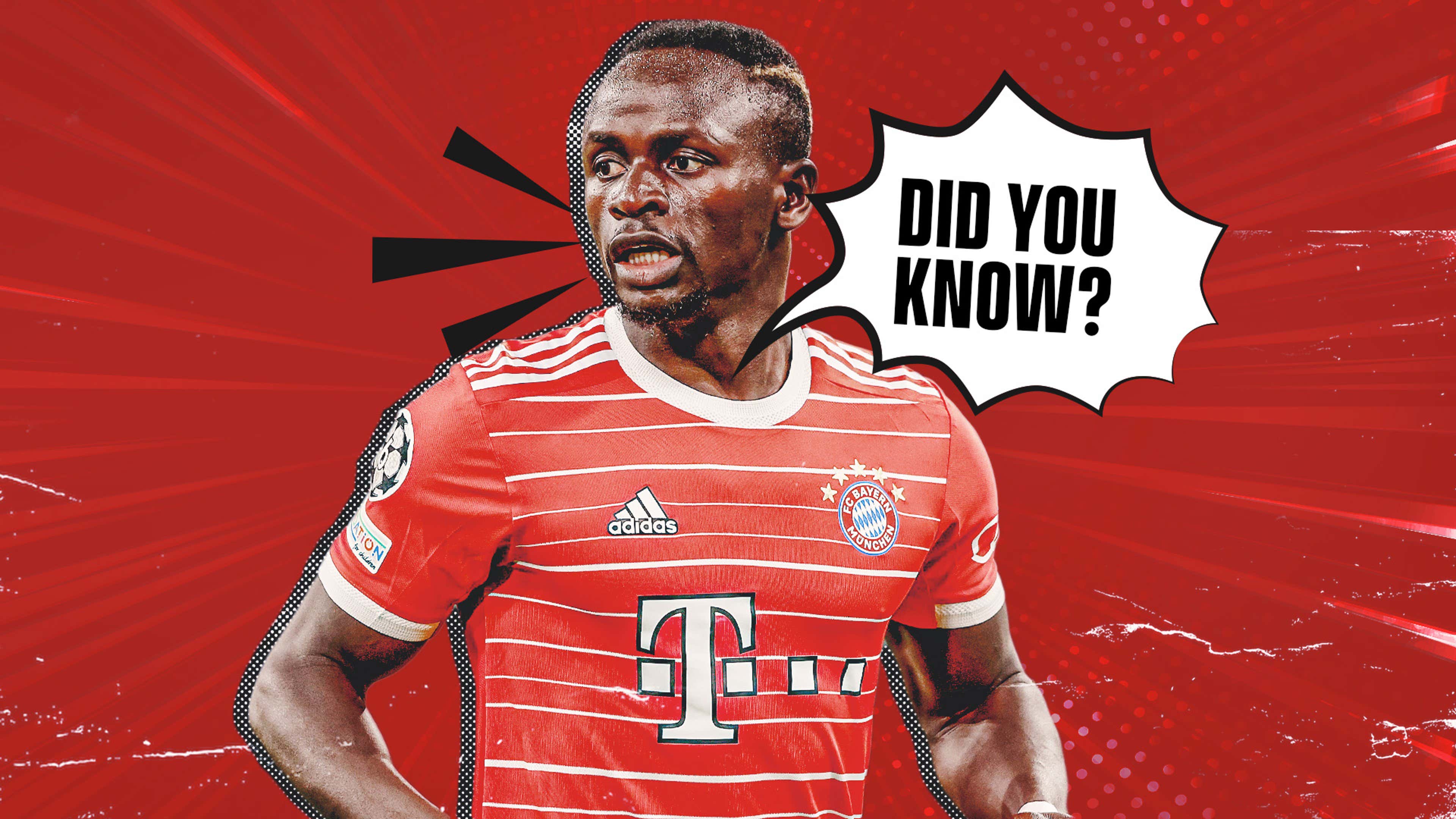 Did You Know_Bayern_Mane