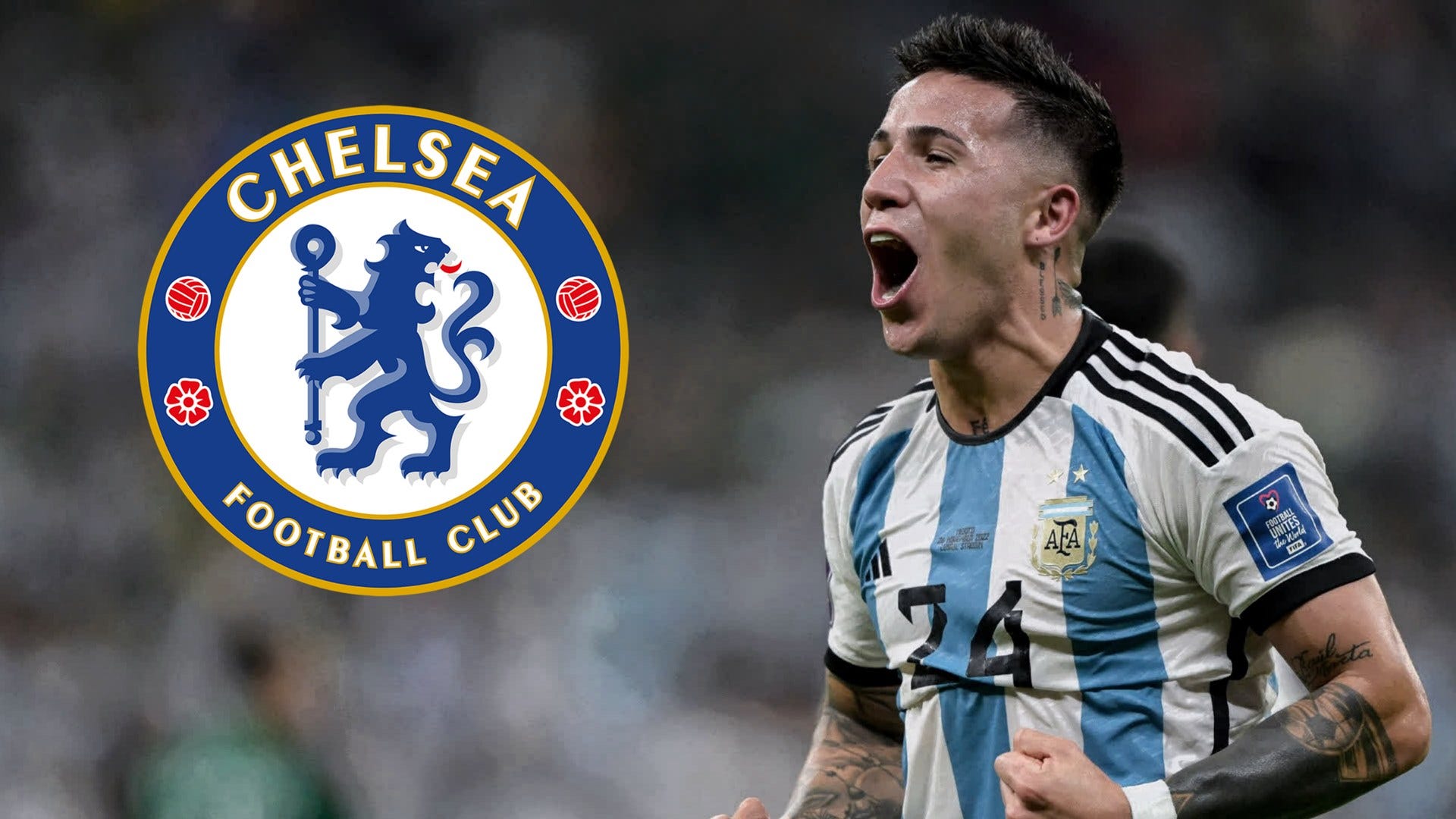 Chelsea offer Benfica over £106m for Enzo Fernandez as Blues seek to beat  Man Utd in transfer race for Argentina World Cup star | Goal.com US