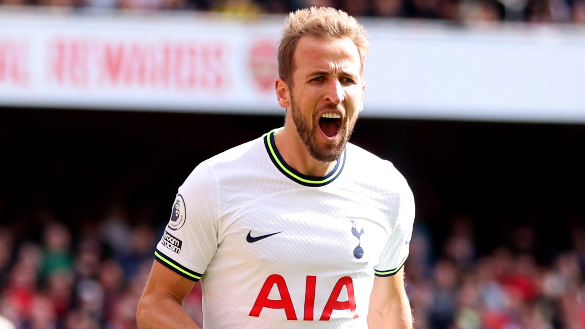 ENGLISH PREMIER TOTTENHAM HOTSPUR 2015-2016 3RD EPL TOP GOALSCORER